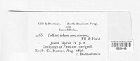 Image Associated With the Occurence